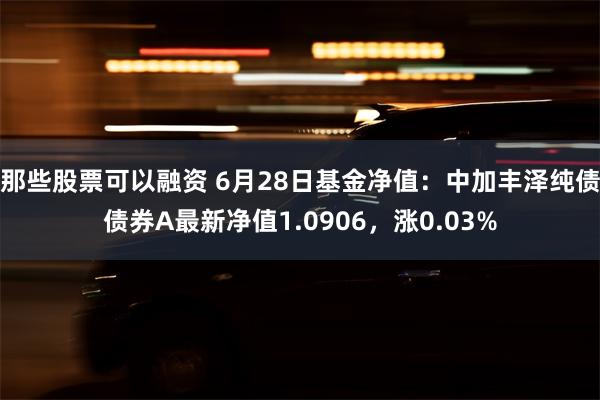 那些股票可以融资 6月28日基金净值：中加丰泽纯债债券A最新净值1.0906，涨0.03%