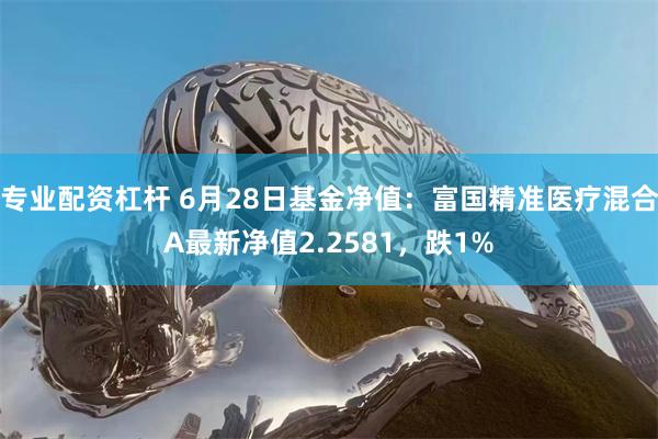 专业配资杠杆 6月28日基金净值：富国精准医疗混合A最新净值2.2581，跌1%