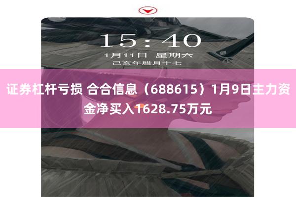 证券杠杆亏损 合合信息（688615）1月9日主力资金净买入1628.75万元