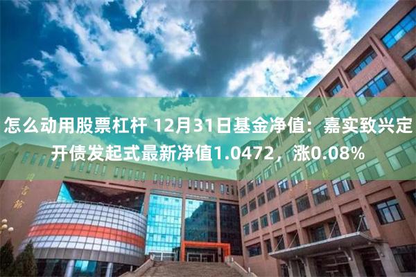 怎么动用股票杠杆 12月31日基金净值：嘉实致兴定开债发起式最新净值1.0472，涨0.08%