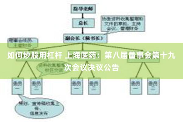 如何炒股用杠杆 上海医药：第八届董事会第十九次会议决议公告