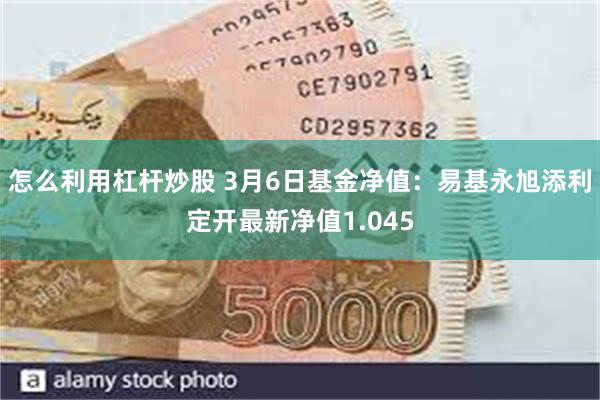 怎么利用杠杆炒股 3月6日基金净值：易基永旭添利定开最新净值1.045