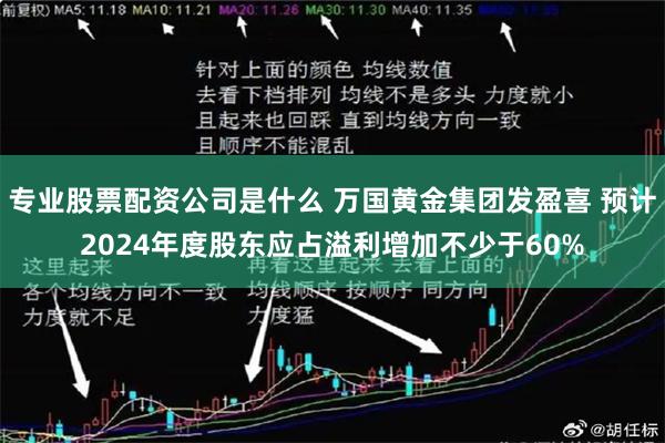 专业股票配资公司是什么 万国黄金集团发盈喜 预计2024年度股东应占溢利增加不少于60%